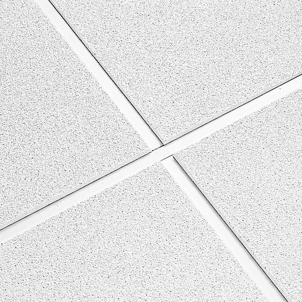 Mua Armstrong Ceiling Tiles; 2x4 Ceiling Tiles - 10 pcs White Ceiling ...
