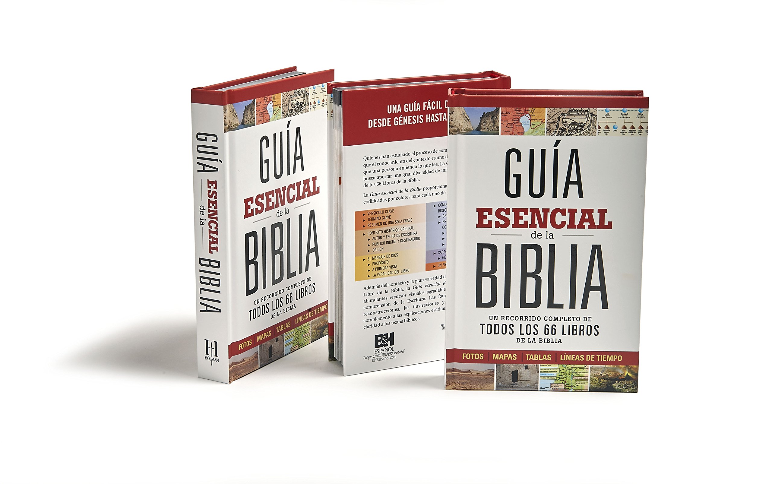 Guía esencial de la Biblia | Ultimate Bible Guide (Spanish Edition)