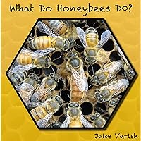 What Do Honeybees Do?