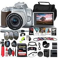 Canon EOS 250D / Rebel SL3 DSLR Camera with 18-55mm Lens (Silver) (3461C001) + 64GB Memory Card + Color Filter Kit + Filter Kit + LPE17 Battery + External Charger + Card Reader + More (Renewed)