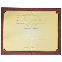 Certificate - Appreciation - In Apprecication - Gold Foil Embossed Premium Stock (Pack Of 6)