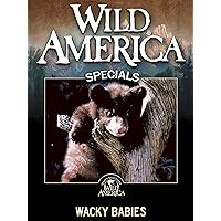 Wild America: Wacky Babies