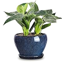 vicrays Ceramic Plant Pots Indoor - 6.5 Inch Planter Pot with Drainage Hole and Saucer for Succulent Orchid Flower Herbs Cactus - Ideal for Gardening Home Desktop Office Decor - Blue