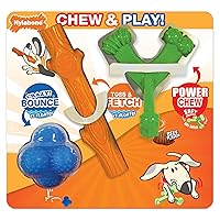 Nylabone Textured Chew and Play Dog Toy Pack (3 Count)