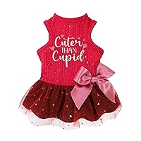 Cuter Than Cupid Dog Tulle Dress, Dog Valentines Outfit, Dog Clothes for Small Dogs Girl, Funny Dog Clothes, Pet Cat Apparel, Burgundy Red, Small