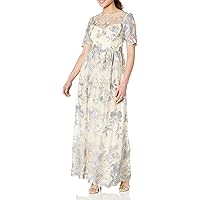 Adrianna Papell Women's Long Illusion Emb Mesh Gown