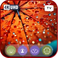 Tranquil Autumn Rainfall - Serene Sounds and Video for Restful Sleep - Enhanced Quality for Tablets & Fire TV.
