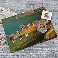 Brook Trout Fly Fishing Absorbent Microfiber Dish Drying Mat Microfiber Quick Dry Pad for Kitchen Counter Coffee Bar Washing Dishes 18x24in