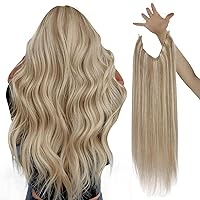 [Ve Sunny and Sunny] Ponytail Hair Extensions and Wire Hair Extensions Blonde Highlights 160G
