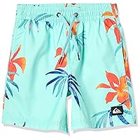 Quiksilver Boys Everyday Mix 12 Volley Boardshort Swim Trunk Youth