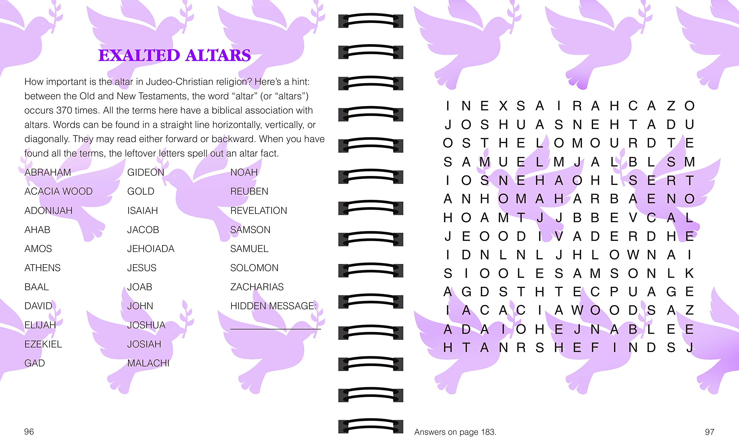Brain Games - Large Print Bible Word Search (Brain Games - Bible)