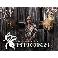 Dominant Bucks - Season 2