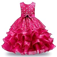 JerrisApparel Girls Ruffles Embroidered Sequined Pageant Flower Wedding Dress