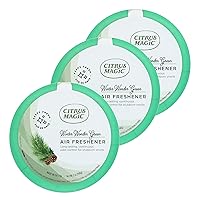 Citrus Magic Holiday Odor Absorbing Solid Air Freshener, Winter Wonder Green, 7-Ounce, Pack of 3