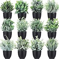 XunYee Small Fake Plants Mini Faux Plants for Office Desk Potted Artificial Plants Flowers Indoor Plastic Plant Decor Aesthetic Greenery Desk Plant for Home Bathroom (Black Pot, Painted, 12 Pack)