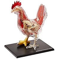 4D Master Vision Chicken Skeleton & Anatomy Model Kit, One Color