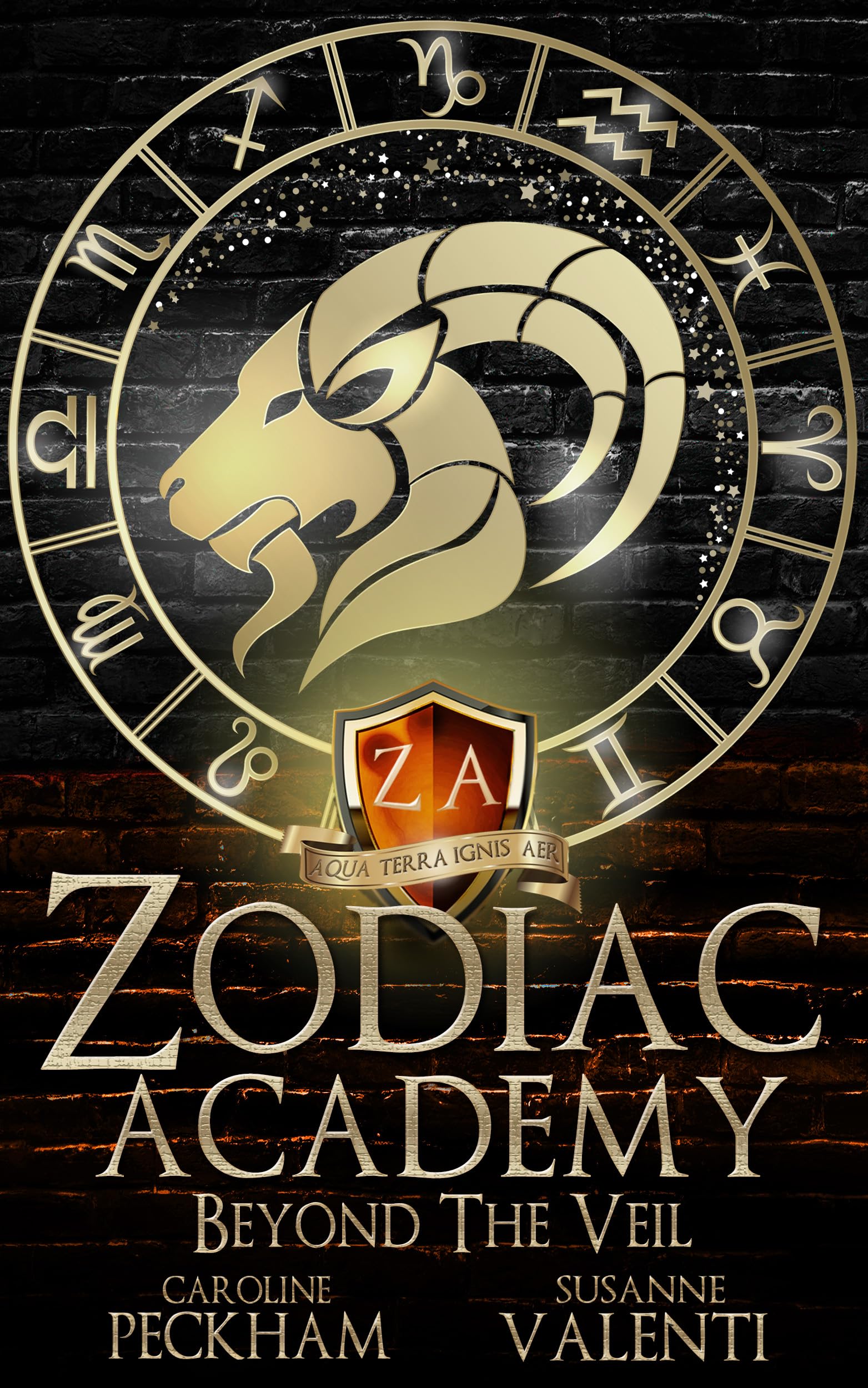 Zodiac Academy 8.5: Beyond The Veil