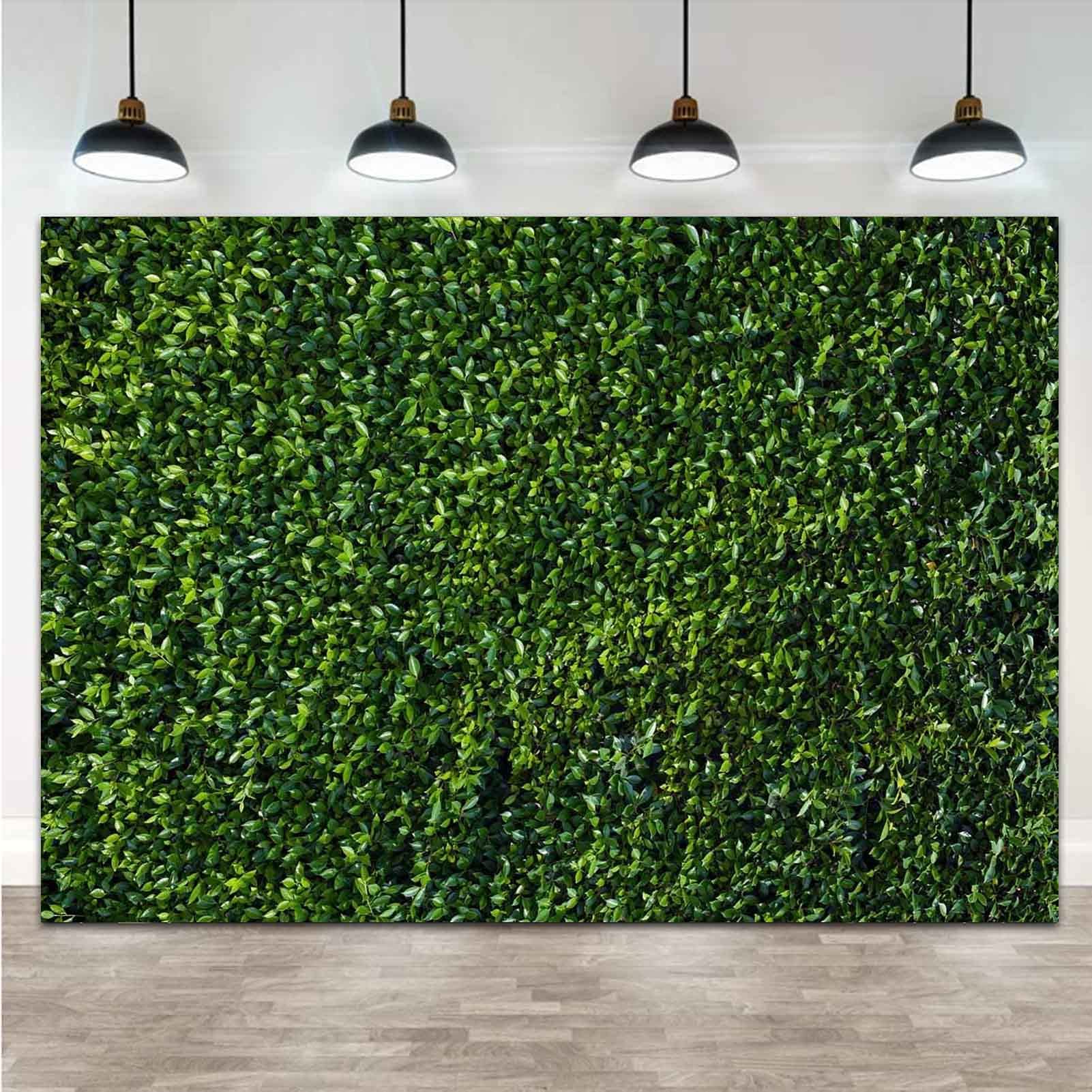 Mua Nature Spring 3D Green Leaves Theme Photo Background 7x5ft ...