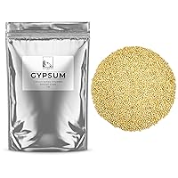 Premium Mushroom Grain Kit for Mushroom Spawn | White Millet 10lb and Gypsum 1lb Bundle