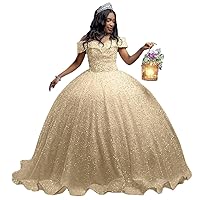 Sparkly Sequin Quinceanera Dresses Glitter Off Shoulder Ball Gown Elegant Sweetheart Puffy Sweet 16 Dresses