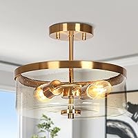 classy leaves Semi Flush Mount Ceiling Light, Modern Gold Ceiling Light Fixtures with Drum Seeded Glass 2 Light Ceiling Lights for Bedroom, Kitchen, Entryway, Hallway