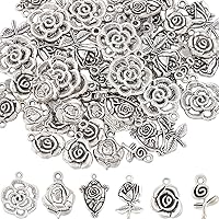 1 Box Valentine's Day Charms Heart Charm Rose Beads Charm Heart Love Charms Bulk Assorted Heart Charms Collection Valentine Charms for Jewelry Making Charms DIY Craft Gifts Supplies