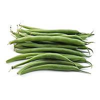 50 Green Bean Seeds for Planting - Provider - Bush Bean - Heirloom Non-GMO Vegetable Seeds for Planting