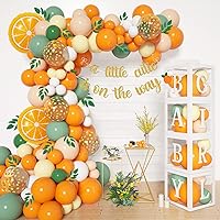 138pcs Little Cutie Baby Shower Balloon Boxes Decorations, Baby Block with Letters Orange Balloon Garland Kit A Little Cutie is On The Way Banner Willow Leaves for Fruit 1st Birthday Party Decorations