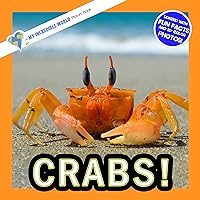 Crabs!: A My Incredible World Picture Book for Children (My Incredible World: Nature and Animal Picture Books for Children)