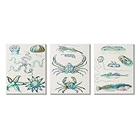 Collage of Blue Aquatic Creatures Ocean Life, Design by Sharon Chandler Canvas Wall Art, 16 x 20, Beige