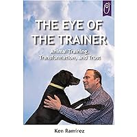 The Eye Of The Trainer