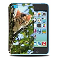 Adorable CAT Kitten Feline #82 Phone CASE Cover for Apple iPhone 5C