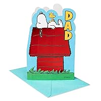 American Greetings Fathers Day Card for Dad (A Day To Relax)