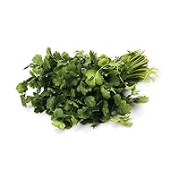 Herb Cilantro Organic, 1 Bunch