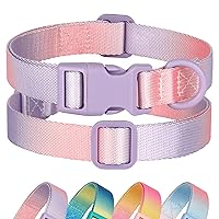 Didog Adjustable Dog Collars for Small Dogs, Smooth & Lightweight Nylon Girl Purple Dog Collars with Safety Quick-Release Buckle for Boy & Girl Dogs, Purple, S