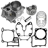 Caltric Cylinder Kit with Piston and Gaskets Compatible with Honda Rincon 680 TRX680FGA 4X4 2006 2007 2008 2009