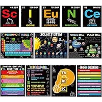 12 Periodic Table Poster Science Posters for Classroom Middle School Science Bulletin Board Sets for Classroom Science Posters for Middle School Classroom Decor Middle School Poster Large Colorful