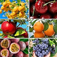 Mix Fruit Seeds Berry Seeds for Planting (6 Varieties) Heirloom Lemon Cherry Apple Orange Blueberry Passionfruit Seeds for Home Garden