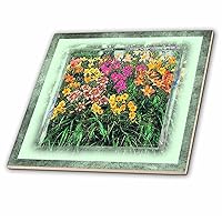 3dRose ct_14848_3 Daylilies Ceramic Tile, 8