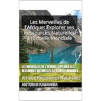 Les Merveilles de l'Afrique: Explorer ses Ressources Naturelles à l'Échelle Mondiale: Afrique Ressources Naturelles (French Edition)