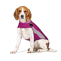 ThunderShirt for Dogs, Medium, Pink Polo - Dog Anxiety Vest