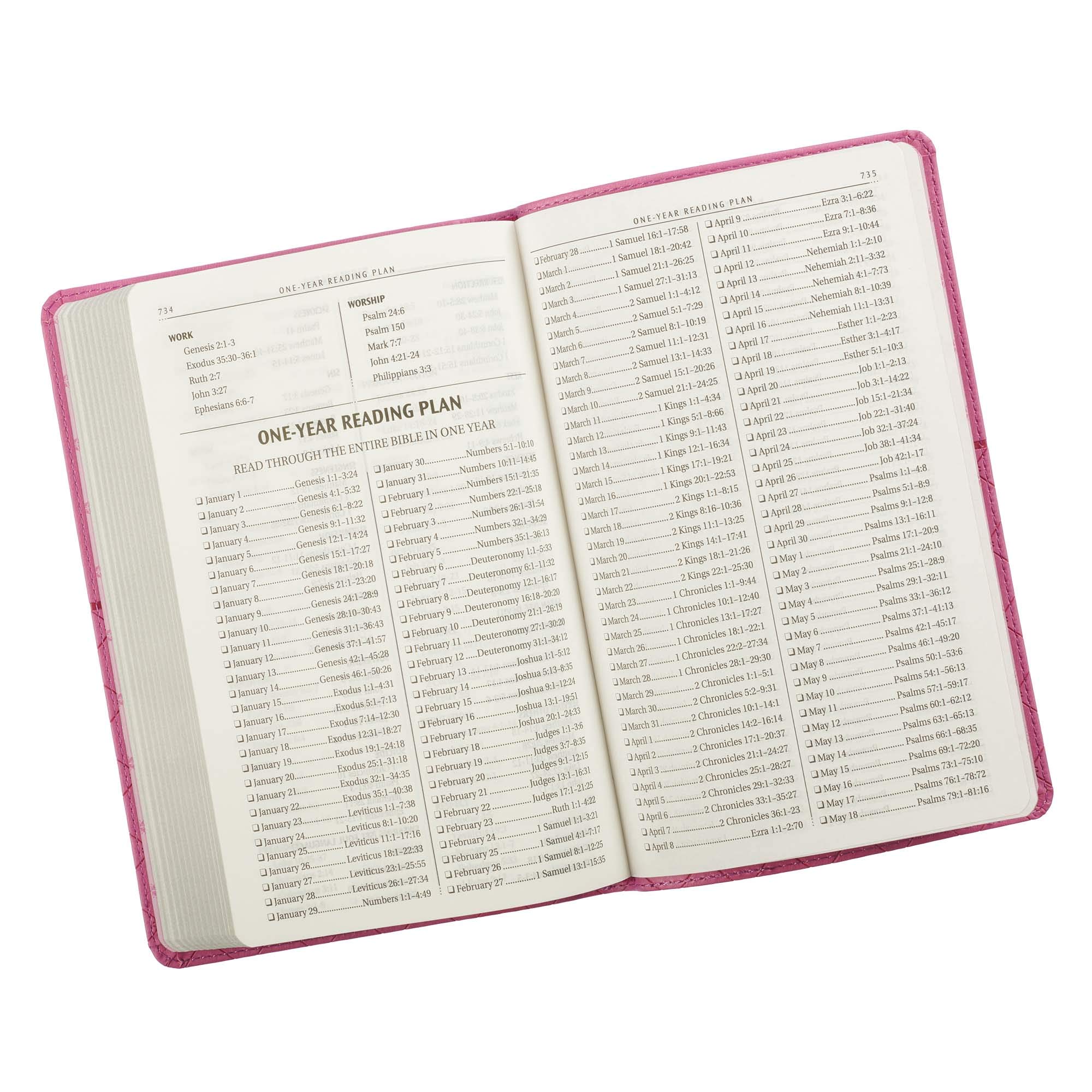 KJV Holy Bible, Gift Edition Faux Leather, King James Version, Pink