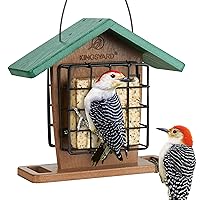 Recycled Plastic Double Suet Feeder with Rainproof Roof & Perch, Cage Suet Bird Feeders for Outdoors Hanging, Great for Woodpecker, Chickadee, Nuthatch (Green)