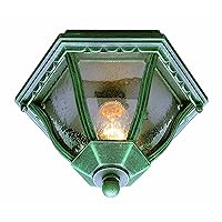 Trans Globe Lighting TG4558 RT One Flushmount Lantern Outdoor-Post-Lights, 8-3/4-Inch, Multi