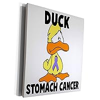 3dRose Duck Stomach Cancer Awareness Ribbon Cause Design - Museum Grade Canvas Wrap (cw_114455_1)