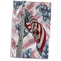 3dRose Beverly Turner Design and Photography - American Flag on Pole - Towels (twl-15237-1)