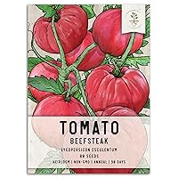 Seed Needs, True Beefsteak Tomato Seeds - 80 Heirloom Seeds for Planting Lycopersicon esculentum - Non-GMO & Untreated Indeterminate Variety to Plant an Outdoor Vegetable Garden (1 Pack)