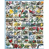 White Mountain Puzzles State Birds and Flowers - 1000 Piece Jigsaw Puzzle