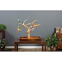 Prevue Pet Products Coffeawood Java Tree Minis Medium Table Top Playstand 22634, 22.5