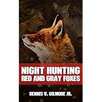 Night Hunting Red And Gray Foxes